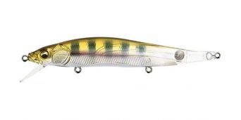 baby-gill