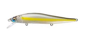 chartreuse-shad
