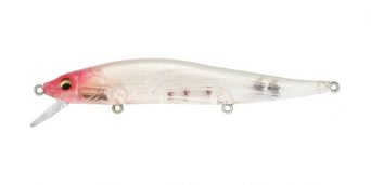 clear-baits