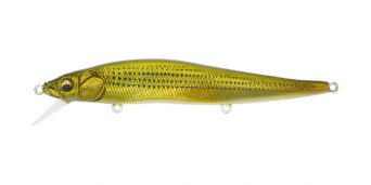 dorado