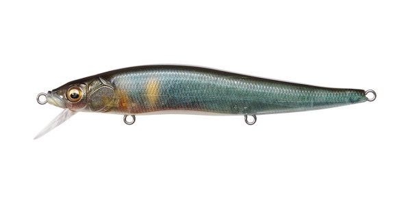Megabass FA Kisyu Ayu Vision 110