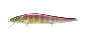 fa-neon-perch