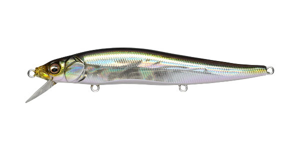 Megabass GG IL Tennessee Shad Vision 110