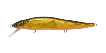 gg-megabass-kinkuro