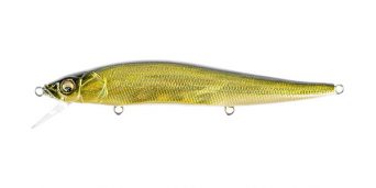 gg-moss-back-golden-shad