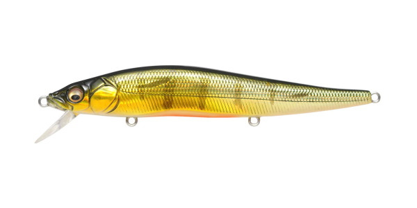 Megabass GG Perch OB Vision 110