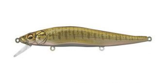 gg-smallmouth-bass