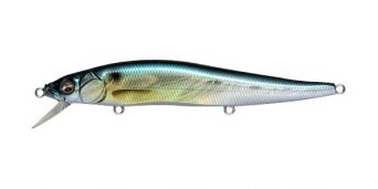 gg-threadfin-shad