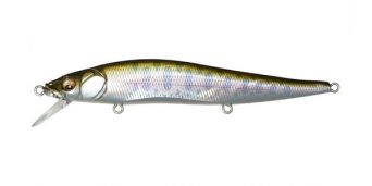 gg-trout