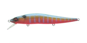 gill-f