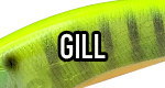 Gill Lure Colors
