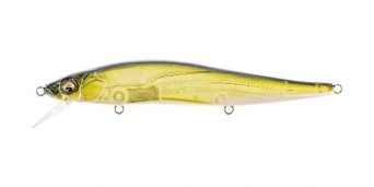 gp-moss-back-golden-shad