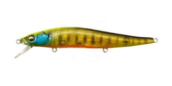 gp-nanko-tougan-gill
