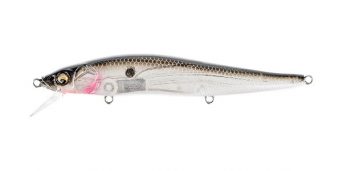 gp-ozark-shad