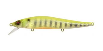 gp-see-through-chart-gill