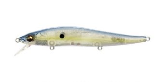 gp-sexy-shad