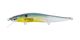 gp-threadfin-shad
