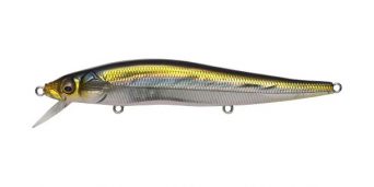 ht-ito-tennessee-shad