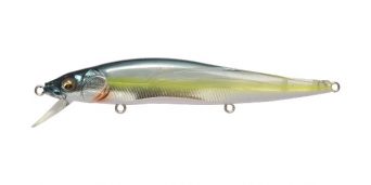 ht-kossori-shad