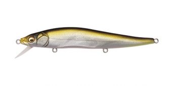 mat-tennessee-shad