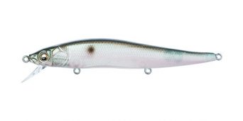 mb-gizzard-shad