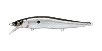 ozark-shad
