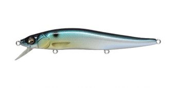 pm-threadfin-shad