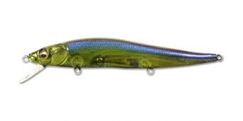 purple-winnie-shad