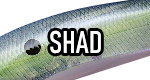 Shad Lure Colors