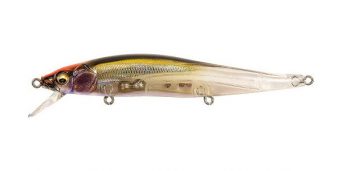 signal-racing-shad