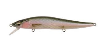 ul-rainbow-trout