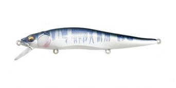 pm-hasu