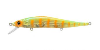 sg-hot-shad