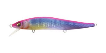 pink-back-frozen-hasu