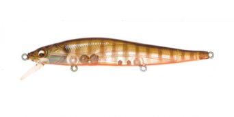 gp-biwako-clear-gill