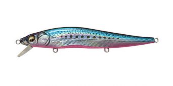 lz-blue-pink-iwashi