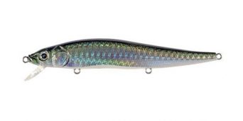 GG Green Mackerel