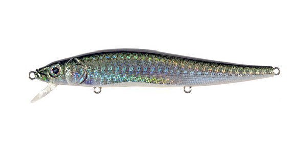 GG Green Mackerel