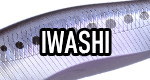 Iwashi Lure Colors