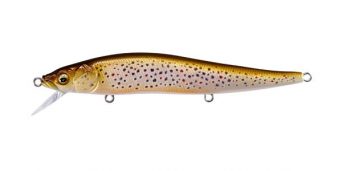 FA Brown Trout