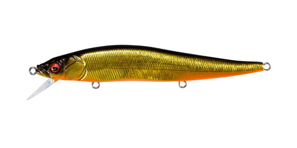 GC Megabass Kinkuro