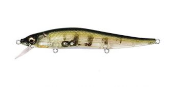 SB Perch
