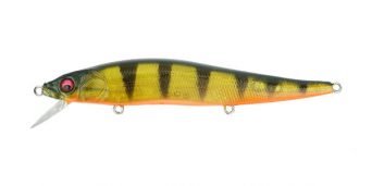 Great Lakes Perch
