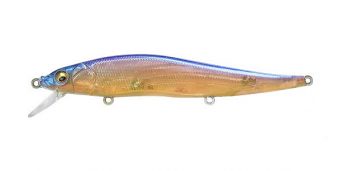 GP Tequila Shad