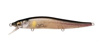 See Through Glitter Ayu