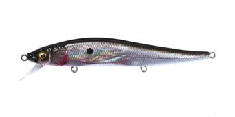 GG Ozark Shad