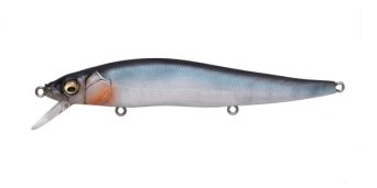 Mat Blue Shiner