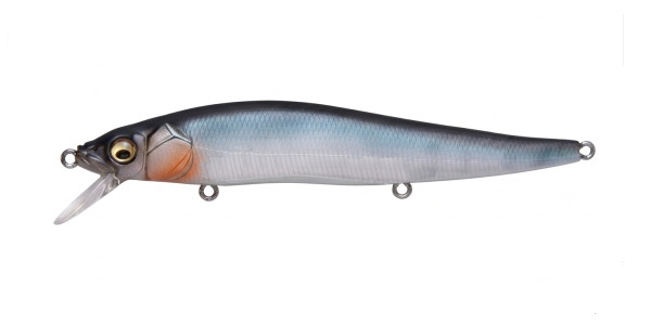 Mat Blue Shiner